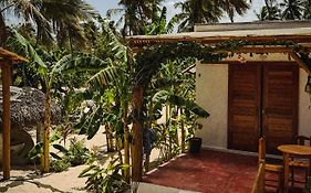 Icarai Kite House